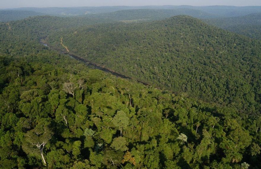Misiones eleva del 30 al 45% los fondos por créditos destinados a propietarios de bosques nativos