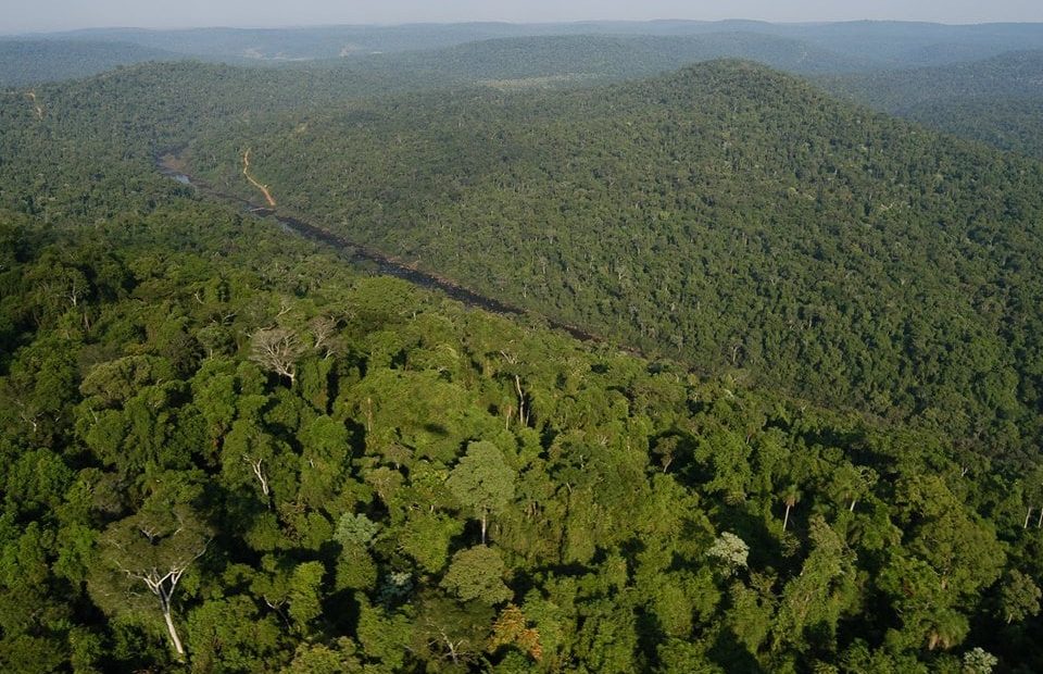 Misiones eleva del 30 al 45% los fondos por créditos destinados a propietarios de bosques nativos