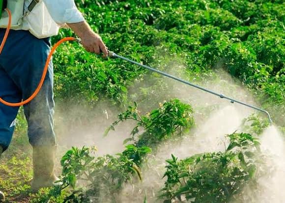 Forestales respaldaron a Passalacqua por corregir la ley que prohibía el glifosato