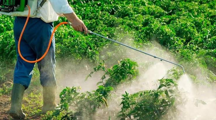 Forestales respaldaron a Passalacqua por corregir la ley que prohibía el glifosato