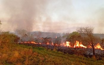 Incendio en Campo San Juan: combaten las llamas con brigadistas, Bomberos y un avión hidrante