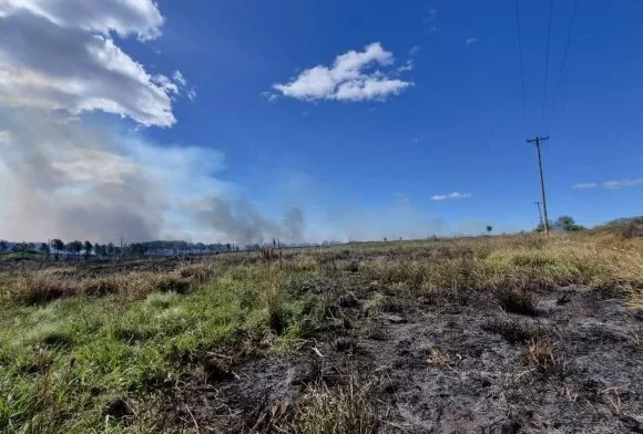 Un incendio de grandes proporciones moviliza a los bomberos en la zona de la Biofábrica de Posadas